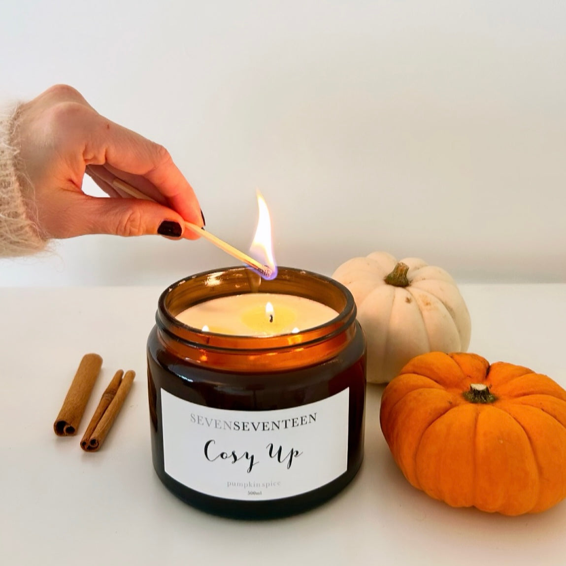 【HS】アンスリウム　pumpkin spice IMG_1167_1149x.jpg?v=1759651853